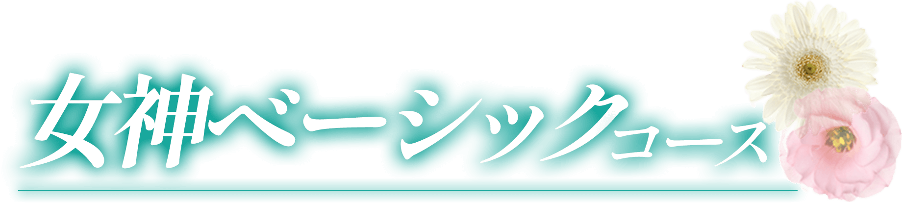 女神ベーシックコース