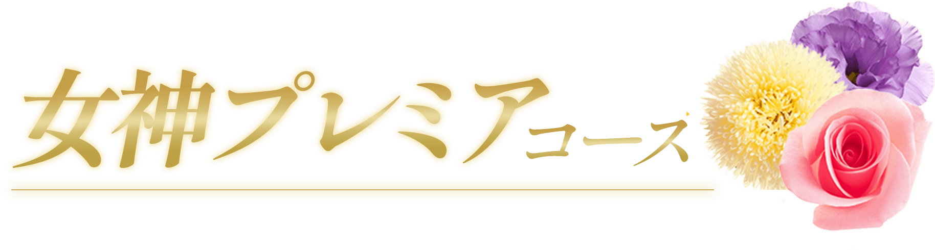 女神プレミアコース